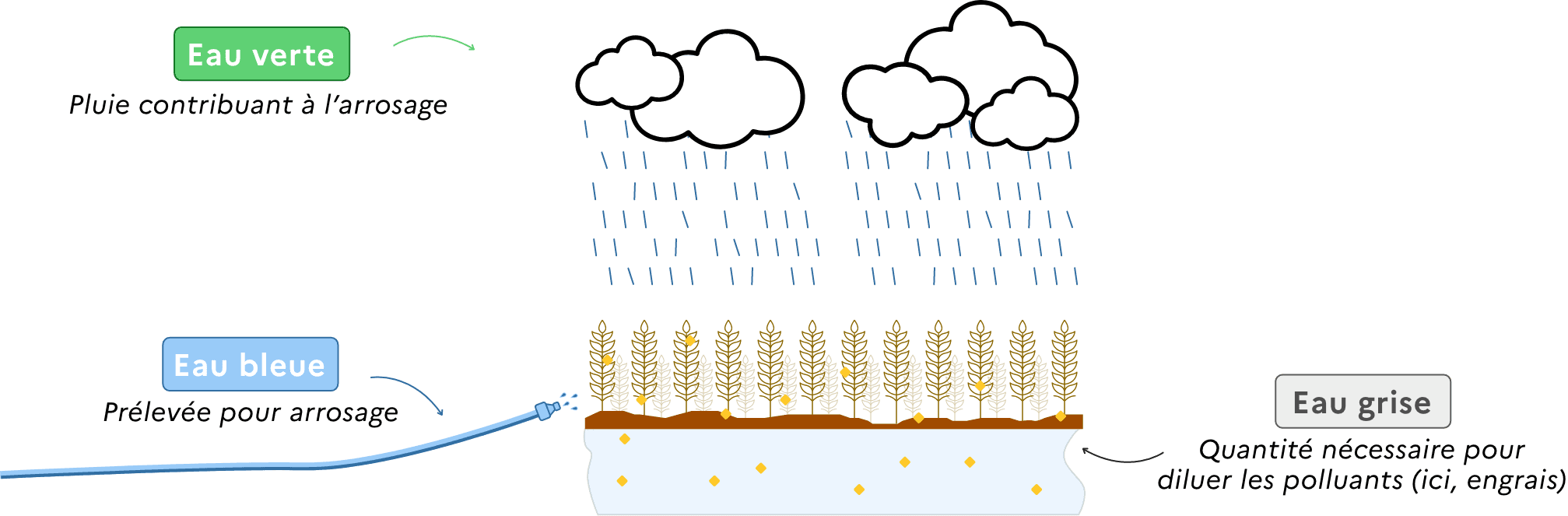 Eau bleue, verte, grise : le cas de l'exploitation agricole