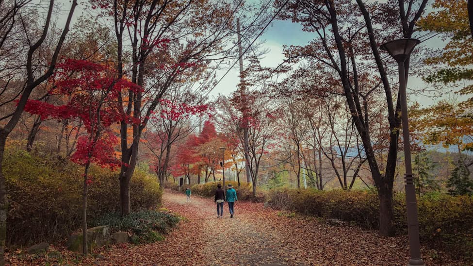 Trois personnes, au lieu d'un seul individu, marchent dans une nature luxuriante bien qu'en contexte urbain, contrastant avec l'image d'introduction de l'article